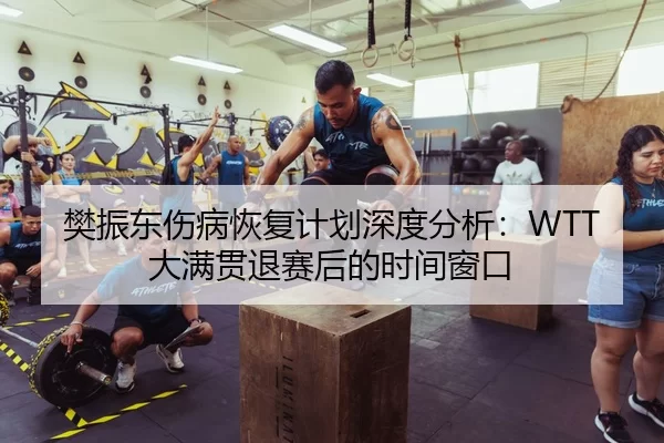 樊振东伤病恢复计划深度分析：WTT大满贯退赛后的时间窗口
